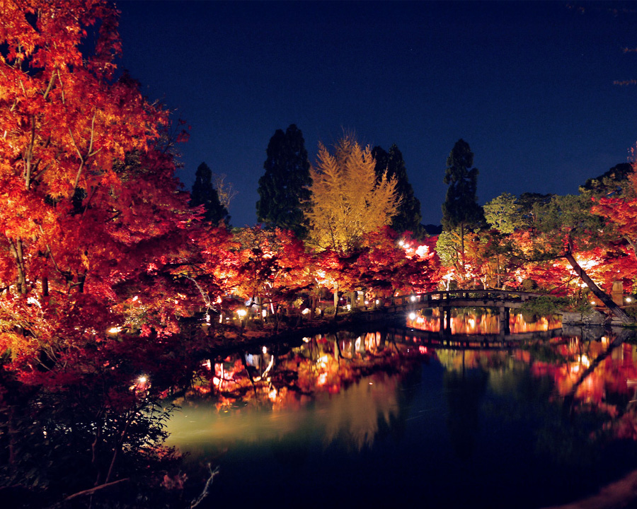 永観堂（禅林寺）紅葉ライトアップ