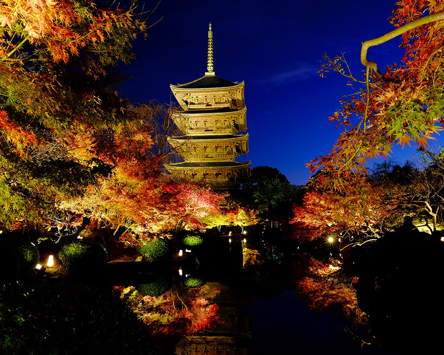東寺紅葉ライトアップ