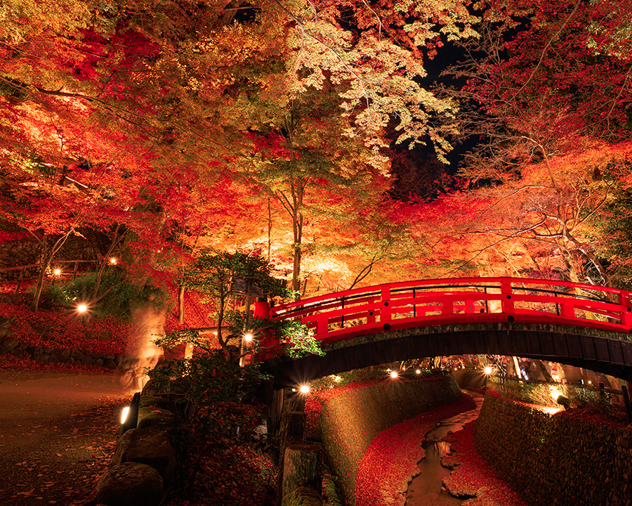 北野天満宮紅葉ライトアップ