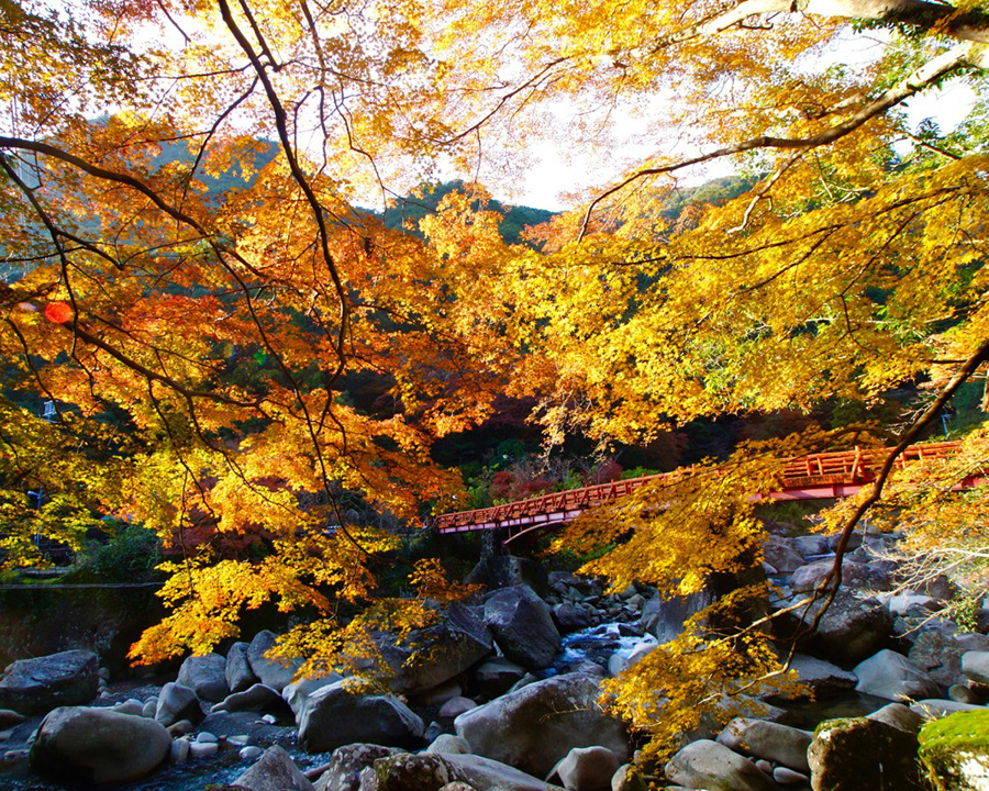 奇絶峡（和歌山県田辺市）