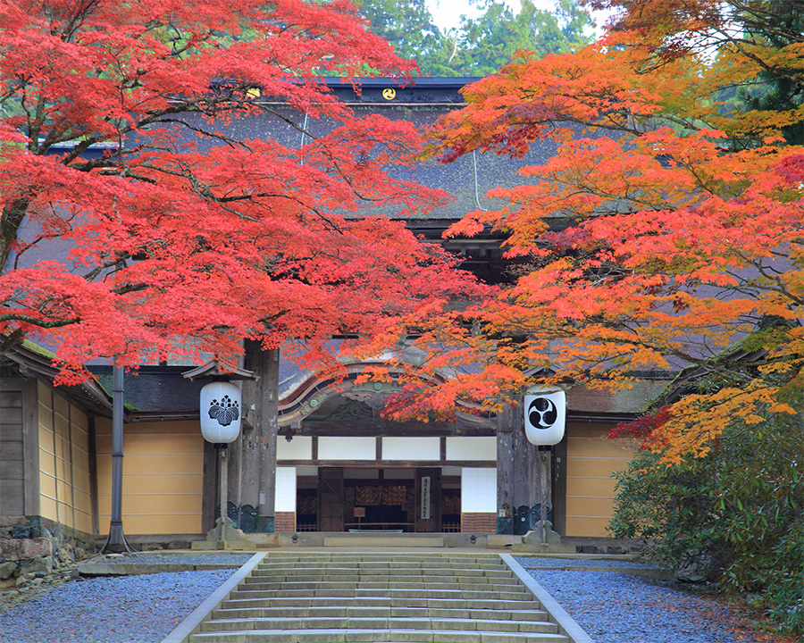  高野山（和歌山）紅葉