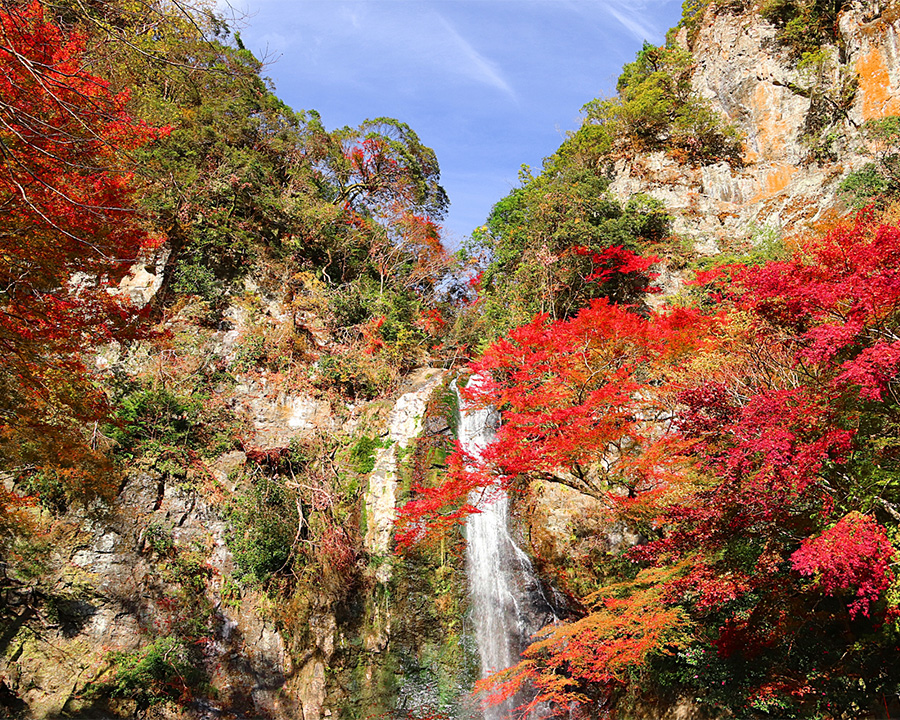 箕面公園（大阪）紅葉