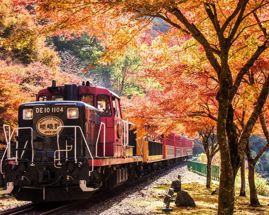 嵯峨野トロッコ列車（京都）
