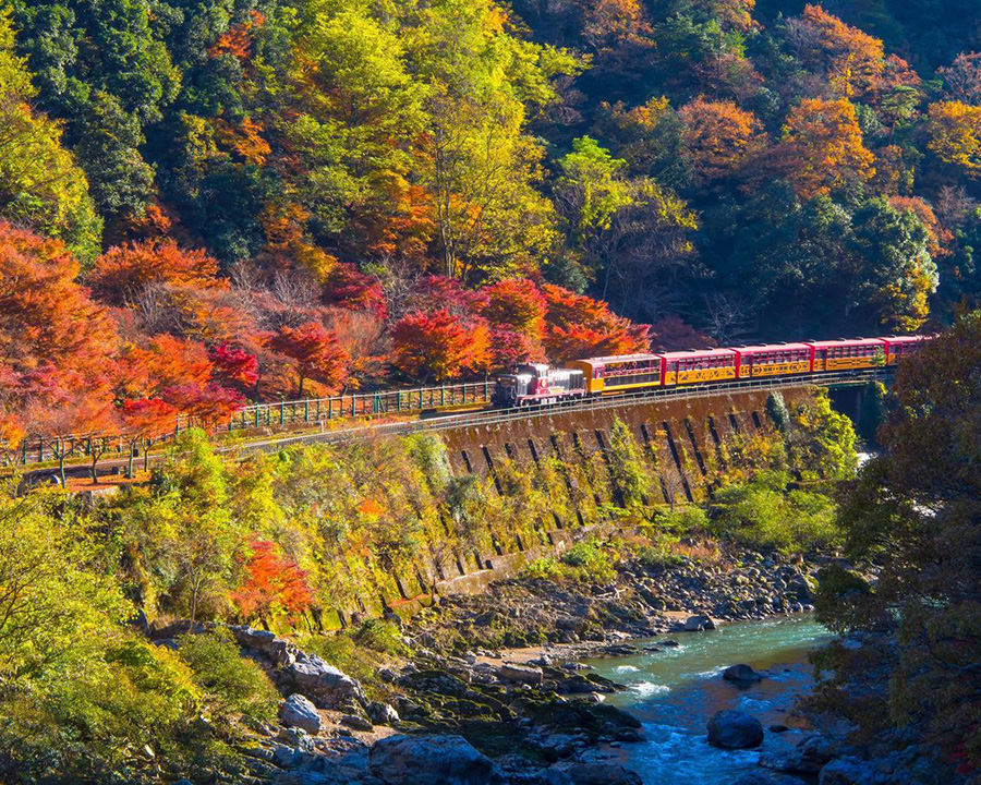 嵯峨野トロッコ列車を満喫できる日帰りバスツアーもおすすめ