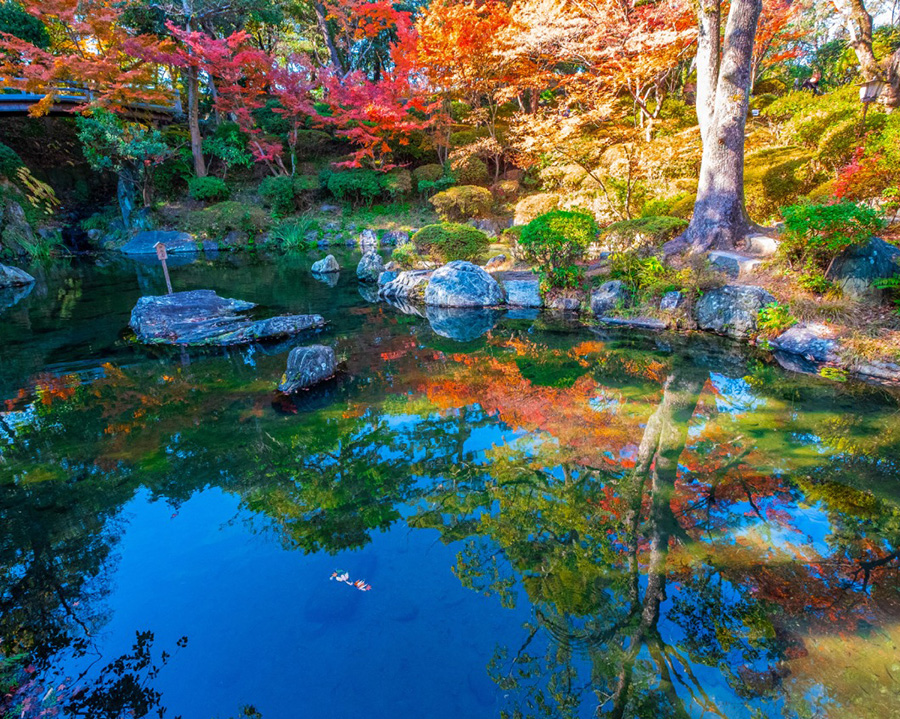 和歌山城西之丸庭園