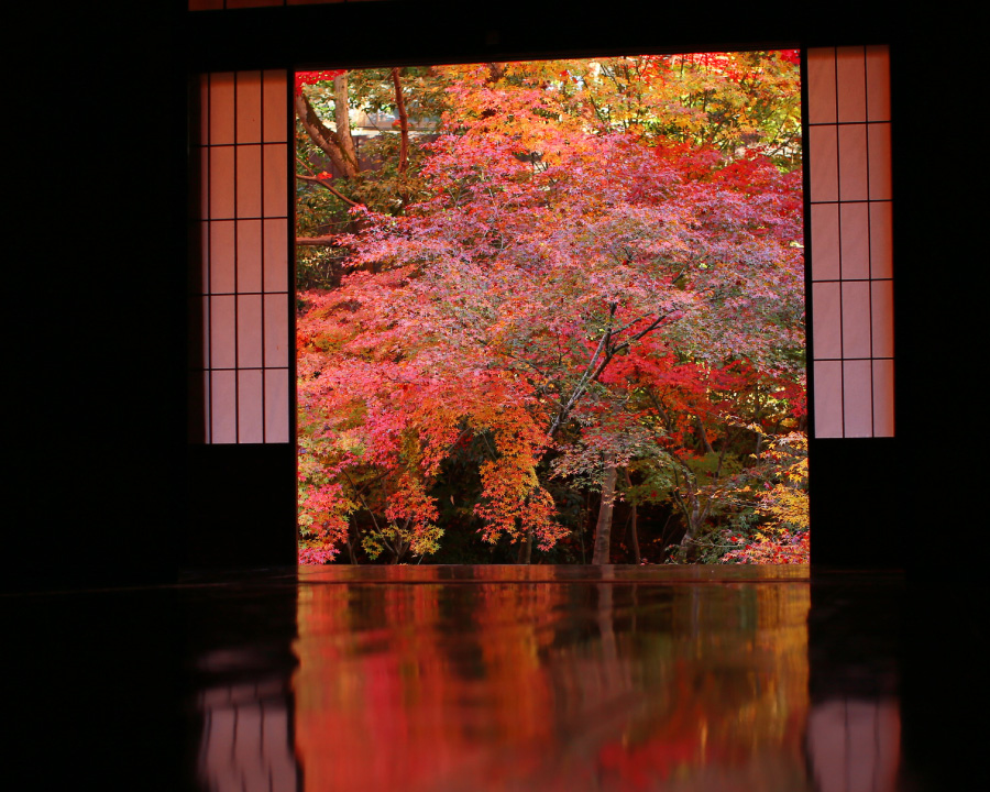 大原・実光院