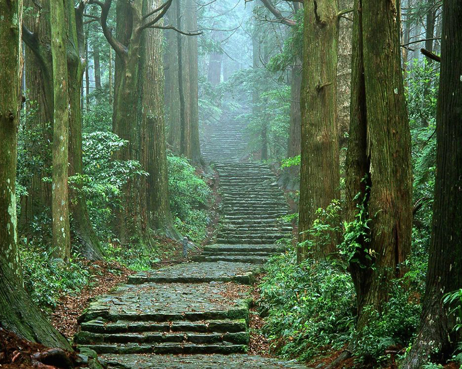 現地集合:世界遺産熊野古道日帰りトレッキング