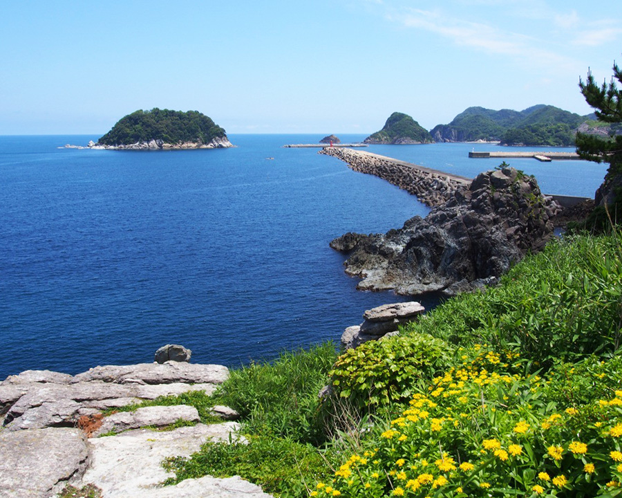 岡見公園の絶景