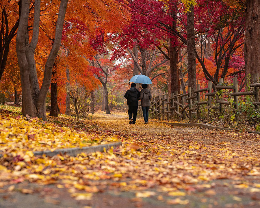 秋|紅葉と美食を楽しむ大人デート