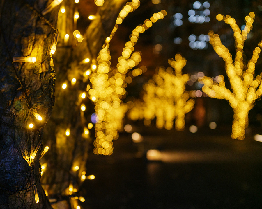 冬|温泉×イルミネーションで過ごすあったかデート