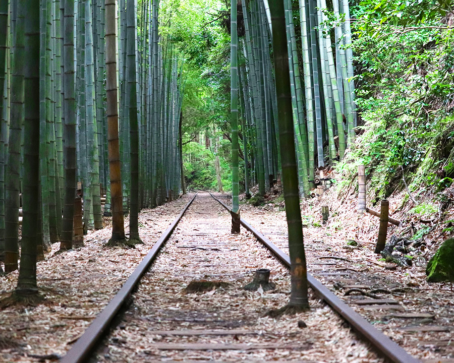 旧国鉄倉吉線線路跡(鳥取)