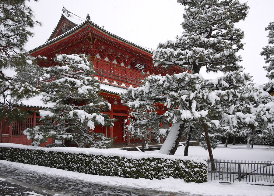【静寂・文化】大徳寺（だいとくじ）