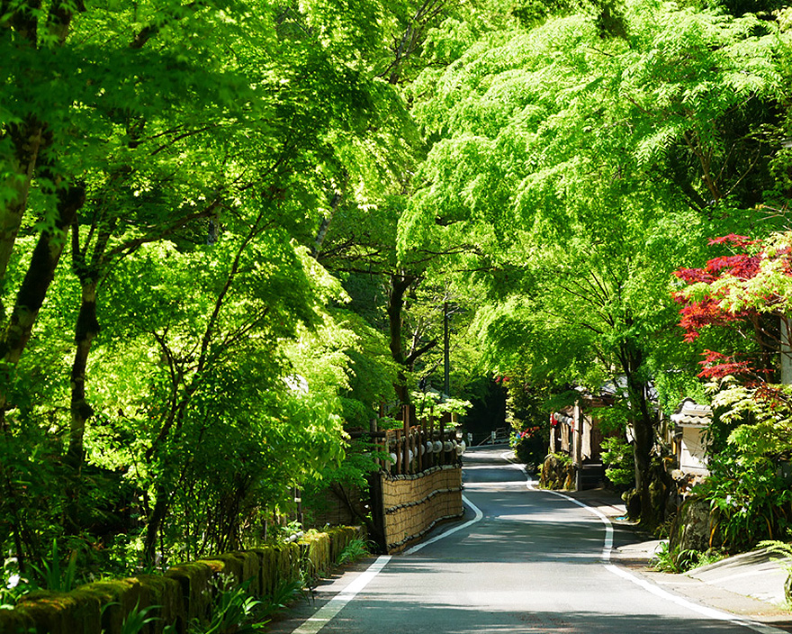貴船の川沿い散策
