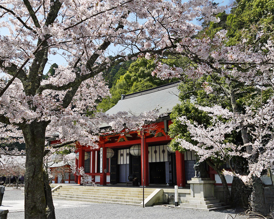 鞍馬寺・本殿金堂を参拝（ゆったり滞在）