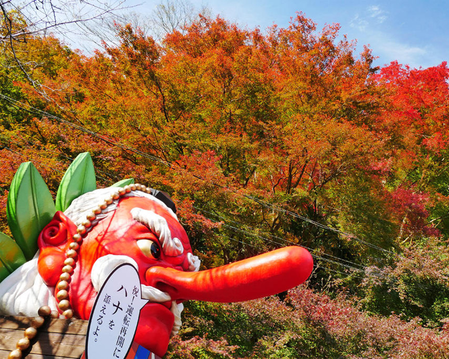 関西から日帰りOK！貴船・鞍馬観光の特徴