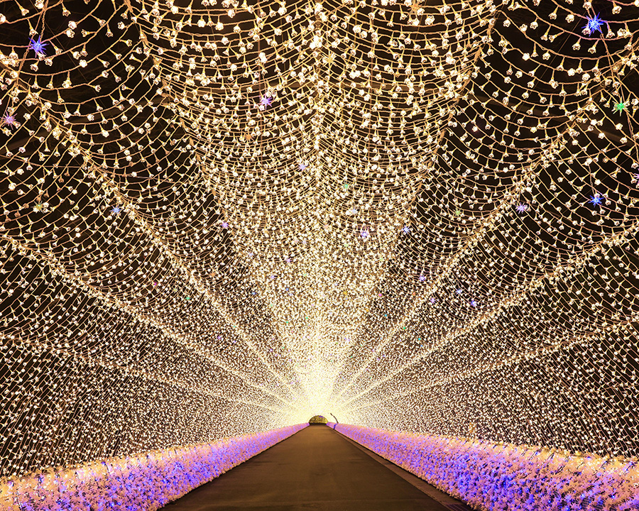 バスツアーで行くイルミネーションデート