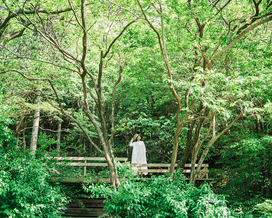 ②|自然の癒しを感じるリラックスプラン