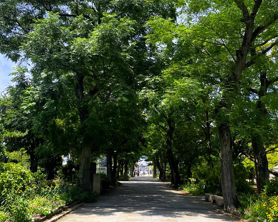 住吉公園（徒歩3分）｜四季の花が美しい癒しスポット