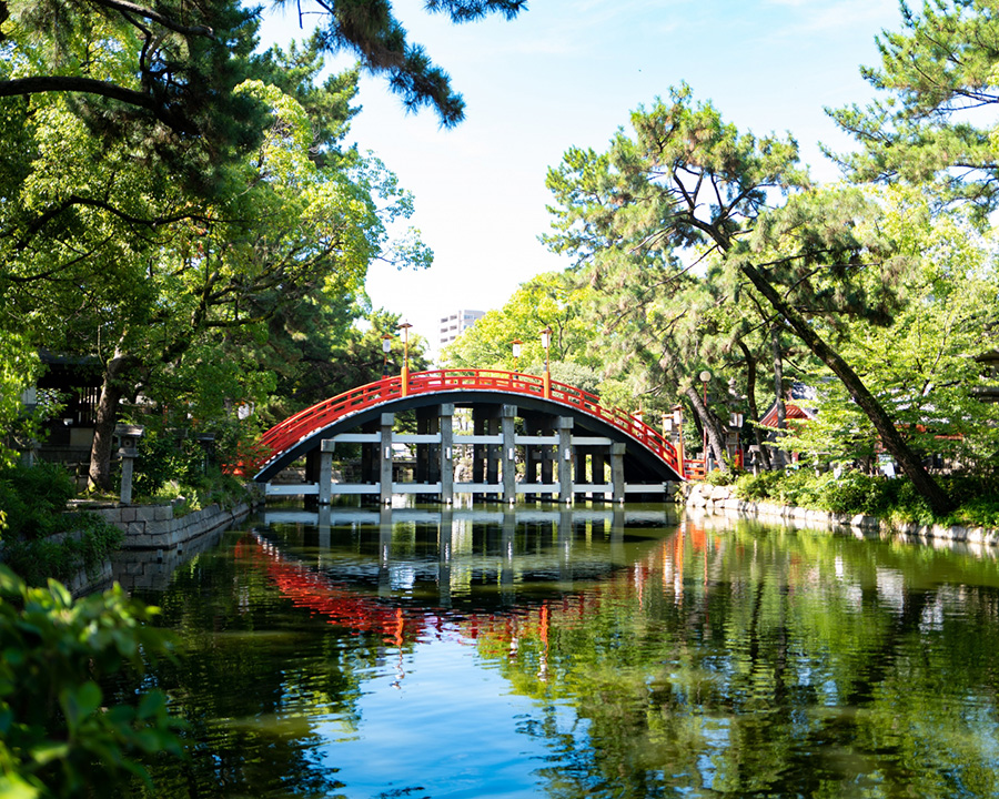 住吉大社・反橋（太鼓橋）で写真撮影