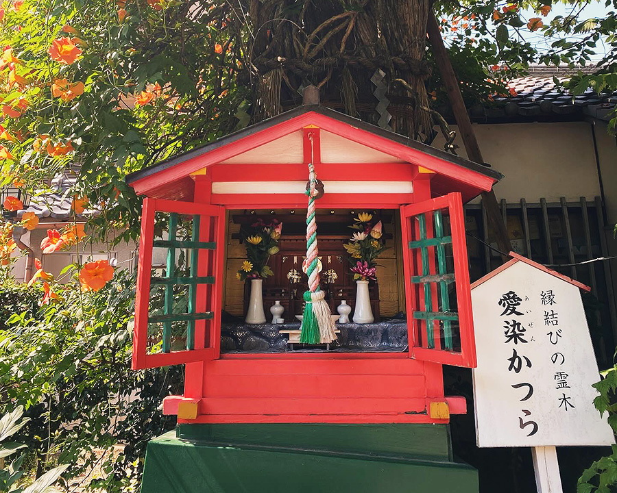 大阪・愛染堂 勝鬘院(あいぜんどう しょうまんいん)