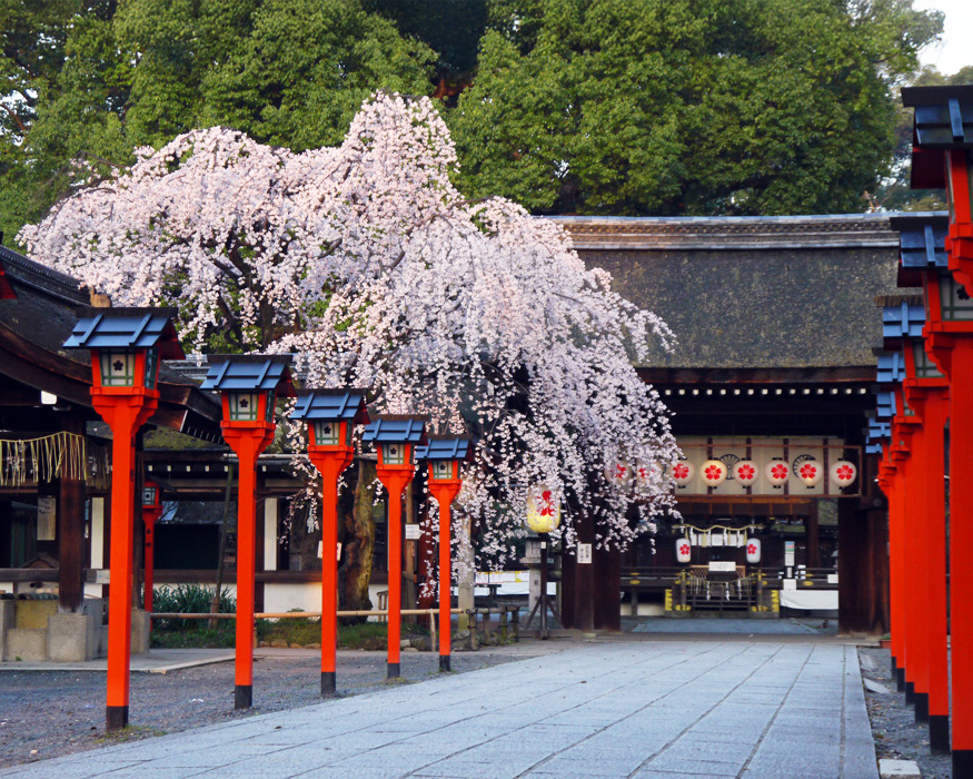 平野神社