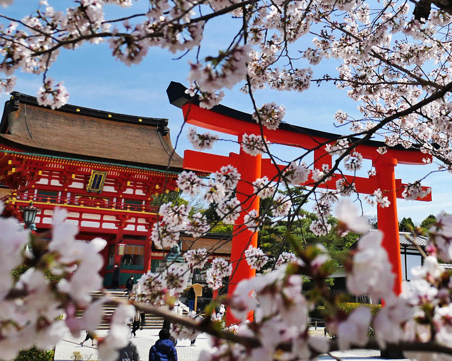 伏見稲荷大社は“お稲荷さん”の総本宮