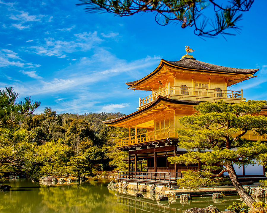 金閣寺へ足を延ばす