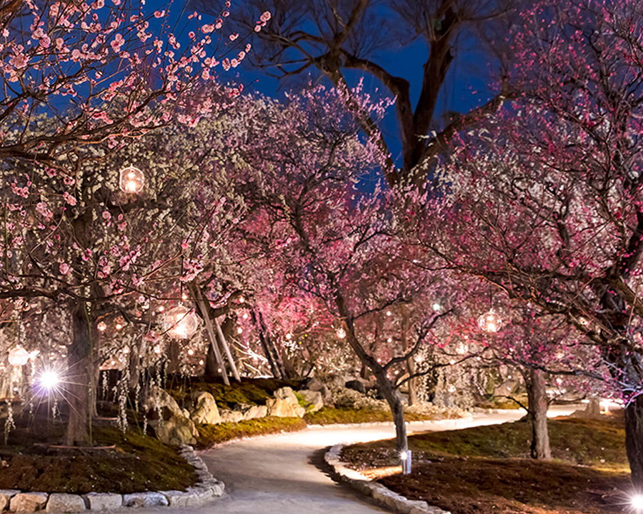 京都・北野天満宮周辺観光マップ