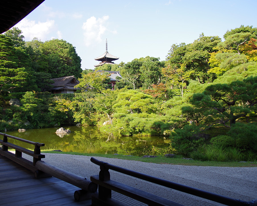 仁和寺|広々とした境内で心がほどける世界遺産