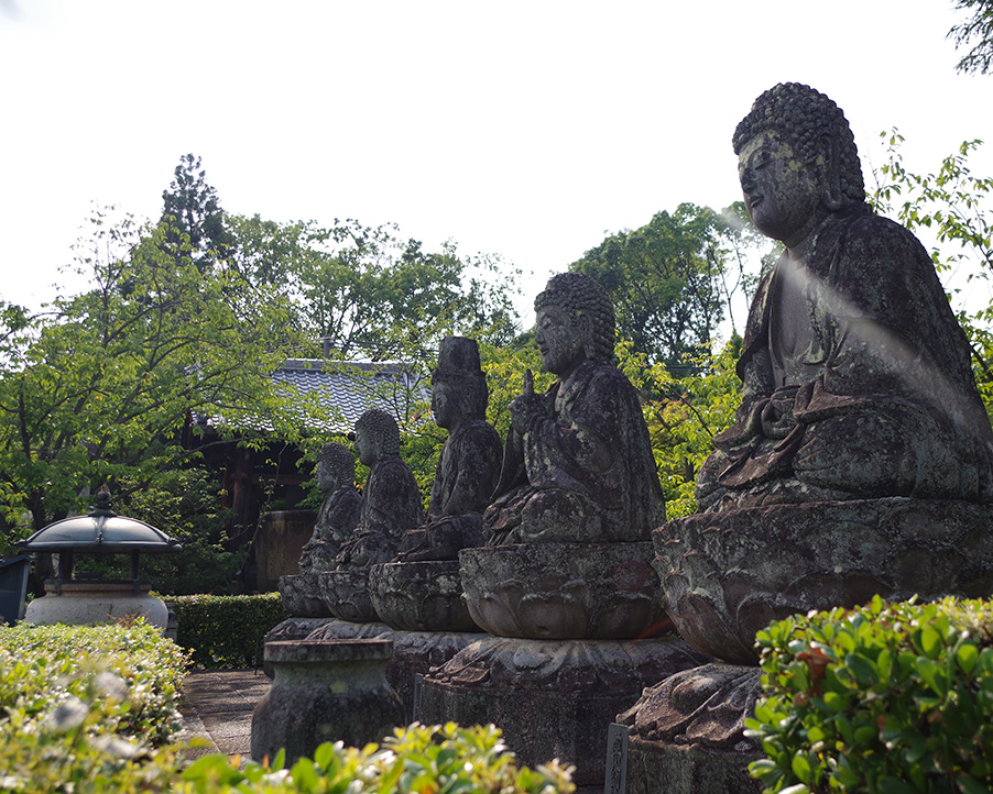 五智山蓮華寺|ずらりと並ぶ石仏に見守られる、静謐な時間