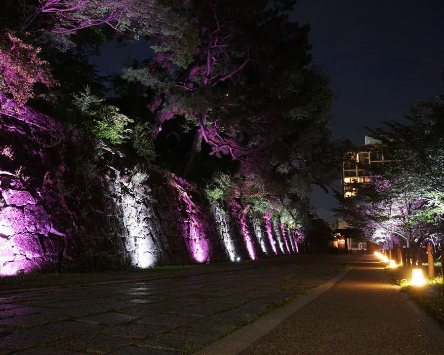 和歌山城 ～光の回廊～（和歌山）