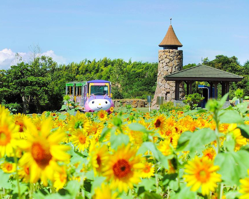 淡路ファームパーク イングランドの丘
