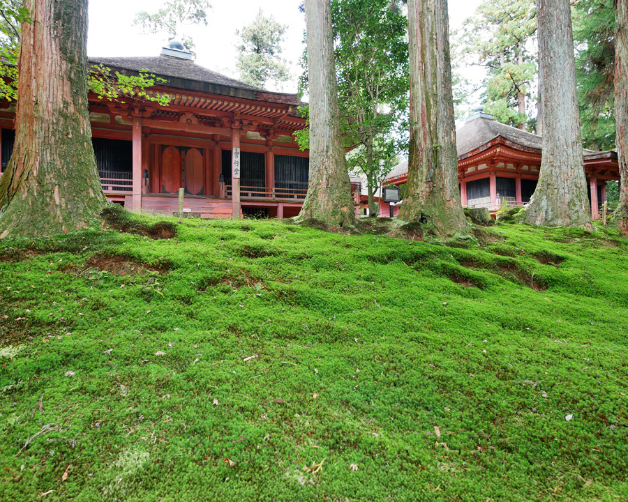 西塔エリア半日プラン|静寂と修行の地を深く味わう