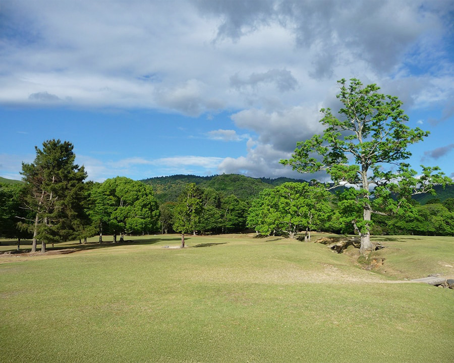 奈良で女一人旅をするならおすすめ穴場スポット：飛火野