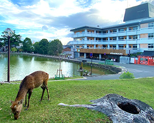 ホテル天平ならまち