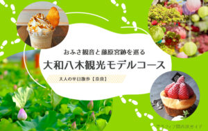 大和八木駅観光モデルコース｜おふさ観音と藤原宮跡を巡る大人の半日散歩【奈良】