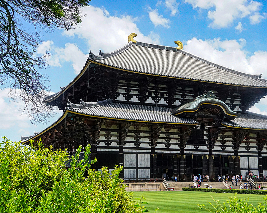 大人女子におすすめの奈良の体験：奈良を深く味わう｜専属ガイドと巡る大人の奈良観光ガイド