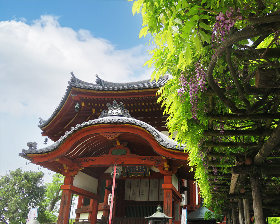 奈良若草山ハイキングに行ってきました：北円堂の前を通ると藤の花が咲き始めていました
