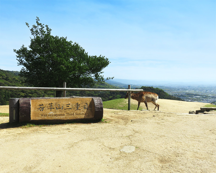奈良若草山ハイキングに行ってきました：頂上（三重目）に到着！