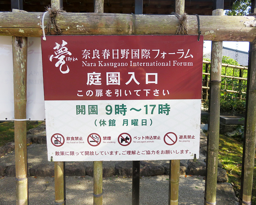 奈良若草山ハイキングに行ってきました：偶然見つけた穴場スポット