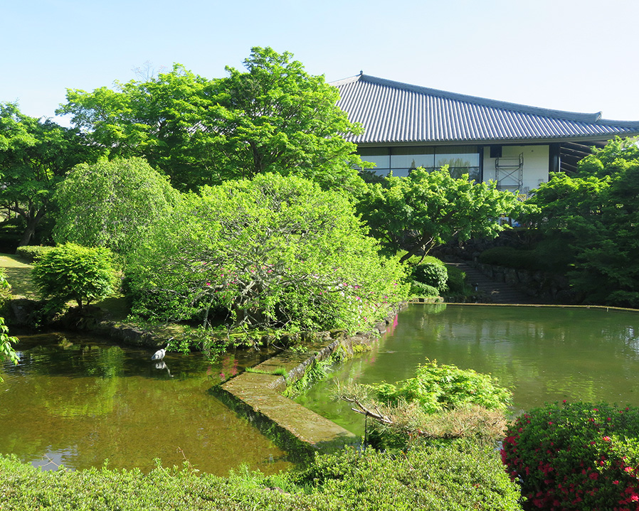 奈良若草山ハイキングに行ってきました：穴場の庭園が散策できる奈良春日野国際フォーラム