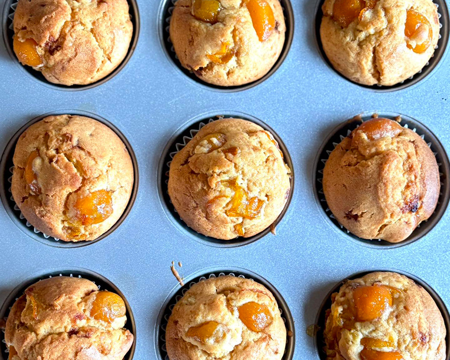 大和八木駅周辺観光で立ち寄るならカフェ「カフェギャラリージユク」でひと息