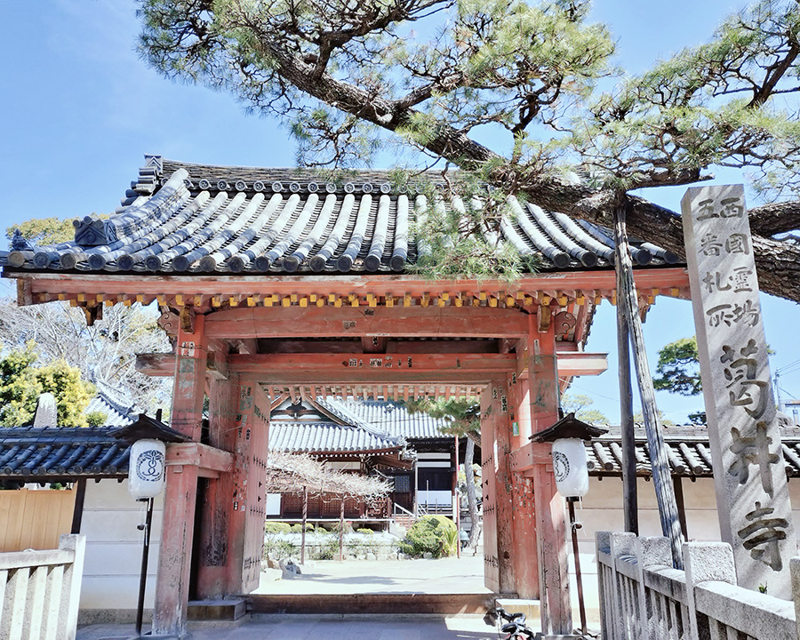 葛井寺に行ったら周辺の街歩きが想像以上に楽しかった｜葛井寺を参拝