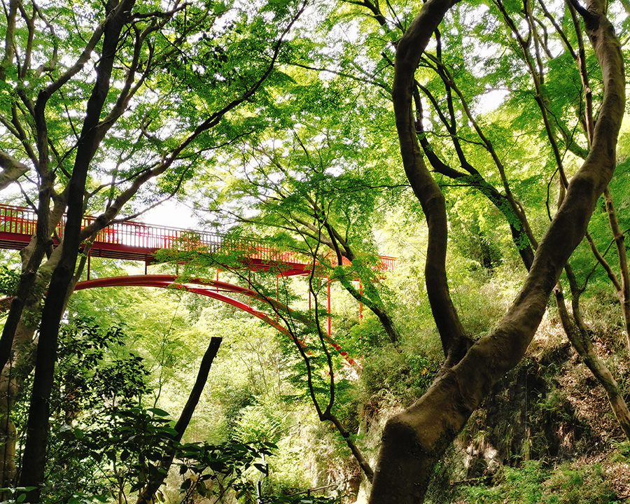枚岡神社から枚岡ハイキングへ