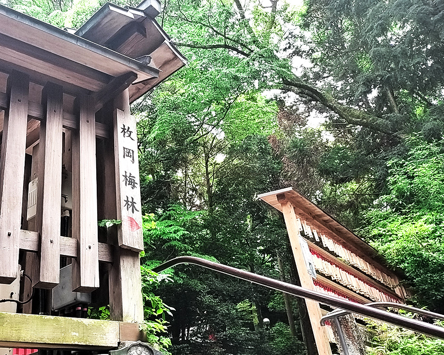 枚岡神社と梅園|静かな山道をゆっくり歩ける、大人の自然散歩