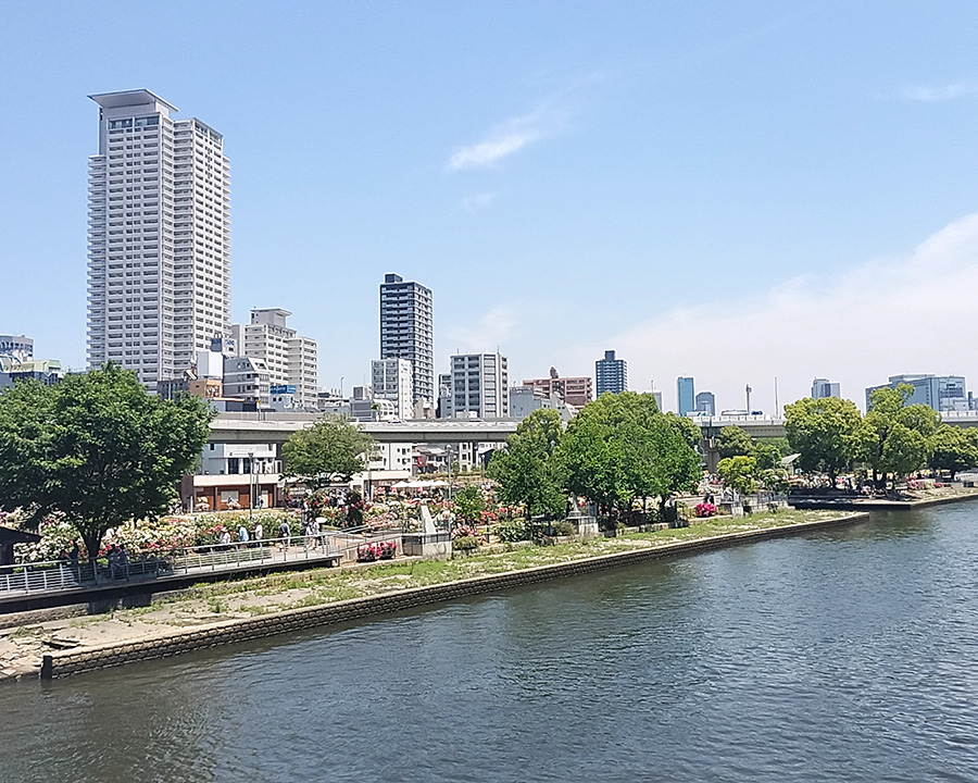 中之島バラ園を散歩しよう