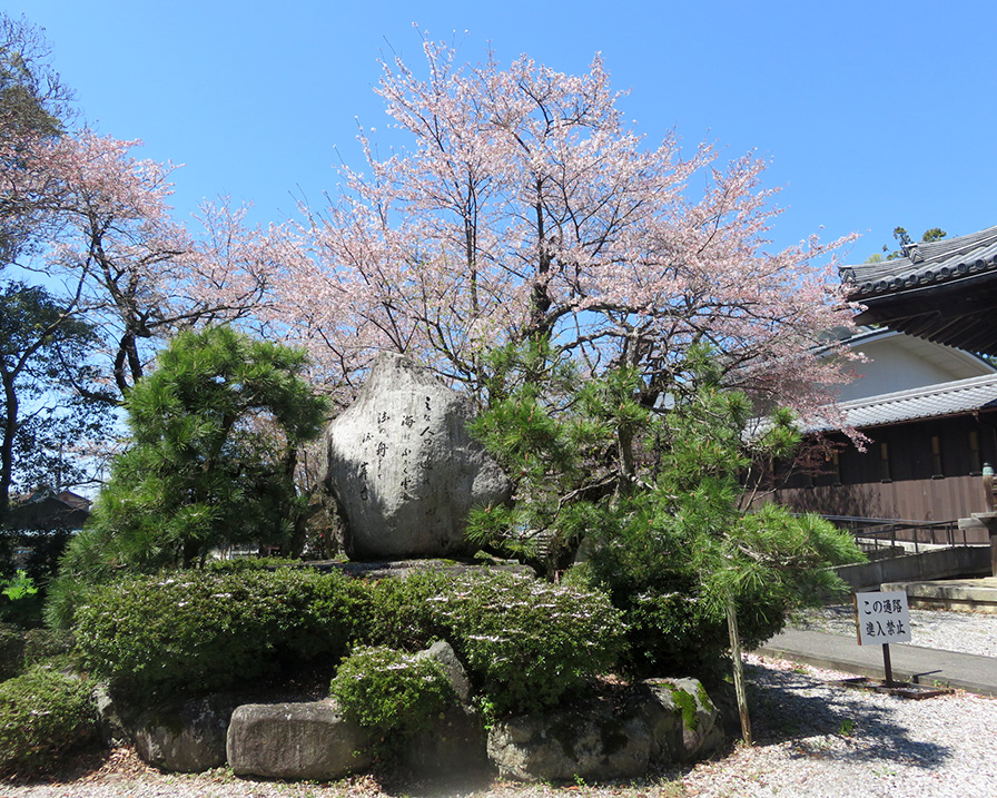 滋賀・長浜エリア一泊二日旅：渡岸寺観音堂を観光