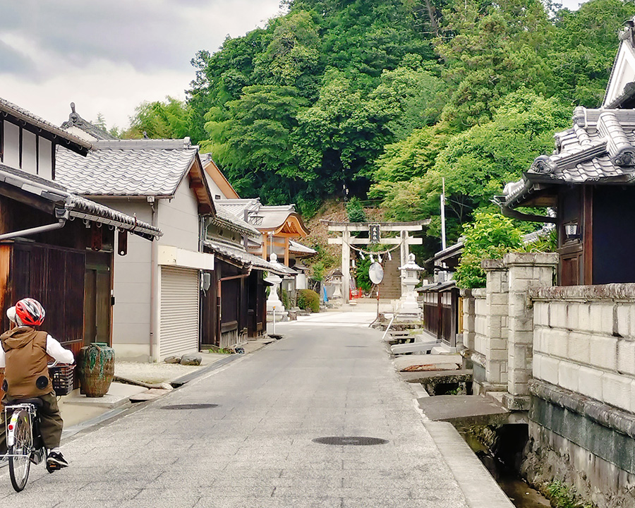 明日香村サイクリング母娘旅の基本情報