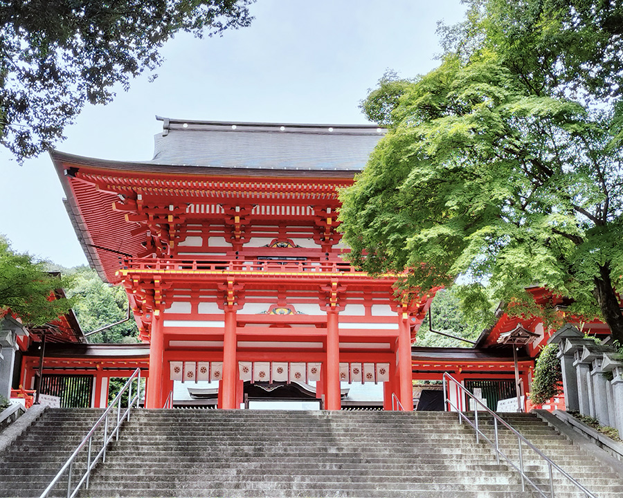 翌日は近江神宮を参拝