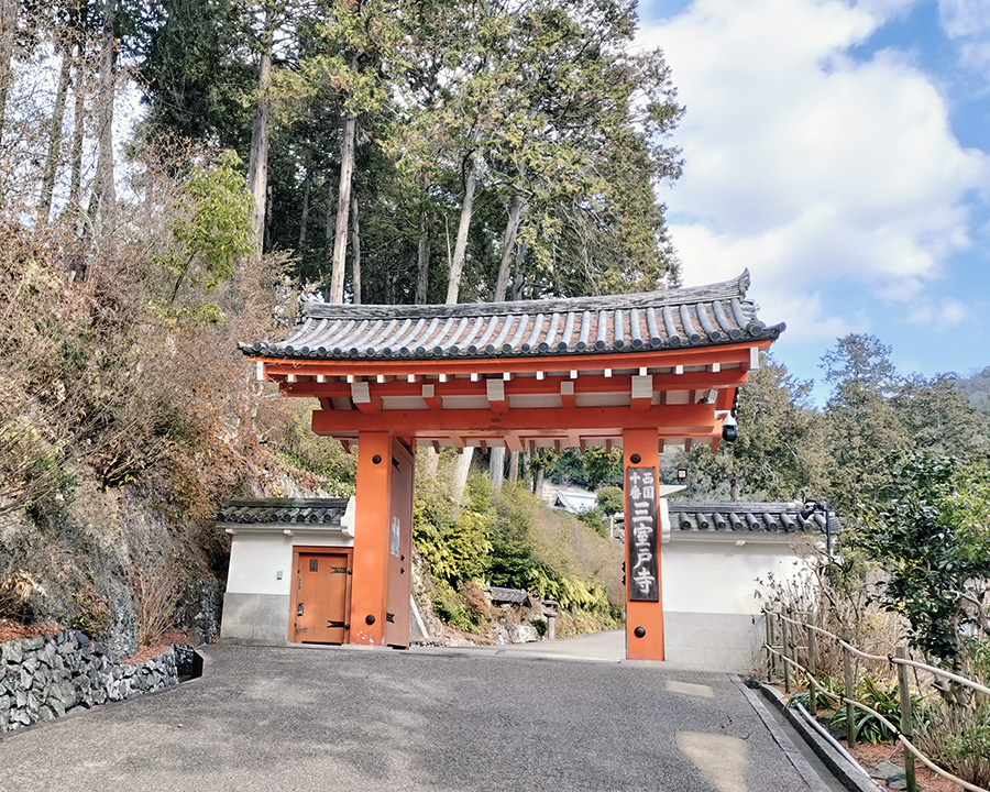 三室戸寺|「花の寺」は時期選びが大事!冬に行った正直レポ